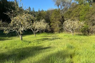 Land, 2660 Wallace Creek Rd, Healdsburg, CA  Healdsburg, CA 95448