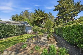 Single Family Residence,  Roblar road, Petaluma, CA 94952 - 9