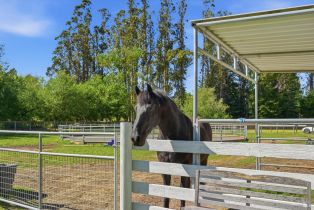 Single Family Residence,  Roblar road, Petaluma, CA 94952 - 45