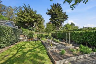 Single Family Residence,  Roblar road, Petaluma, CA 94952 - 7
