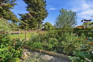 Single Family Residence,  Roblar road, Petaluma, CA 94952 - 10