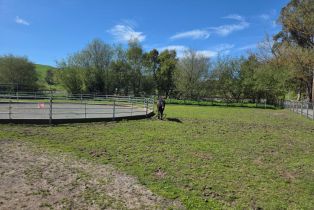 Single Family Residence,  Roblar road, Petaluma, CA 94952 - 48