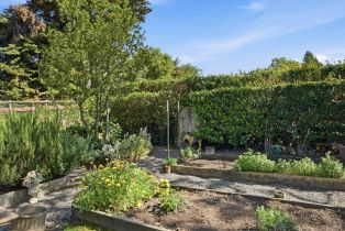 Single Family Residence,  Roblar road, Petaluma, CA 94952 - 8