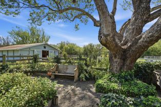 Single Family Residence,  Roblar road, Petaluma, CA 94952 - 38