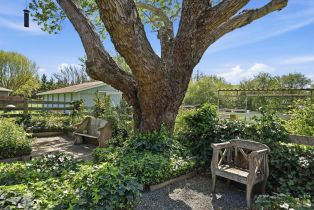 Single Family Residence,  Roblar road, Petaluma, CA 94952 - 3