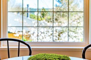 Single Family Residence,  Craig avenue, Sonoma, CA 95476 - 35