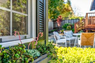 Single Family Residence,  Craig avenue, Sonoma, CA 95476 - 68