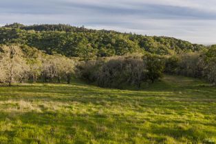 Residential Lot,  Shiloh ridge, Santa Rosa, CA 95403 - 9