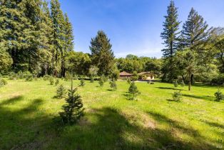 Single Family Residence,  Redwood road, Napa, CA 94558 - 24