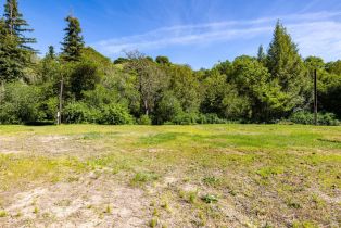 Single Family Residence,  Redwood road, Napa, CA 94558 - 20
