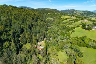 Single Family Residence,  Redwood road, Napa, CA 94558 - 46