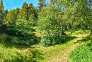 Single Family Residence,  Redwood road, Napa, CA 94558 - 53