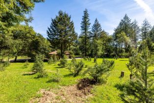 Single Family Residence,  Redwood road, Napa, CA 94558 - 23