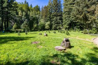 Single Family Residence,  Redwood road, Napa, CA 94558 - 13