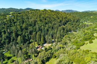 Single Family Residence,  Redwood road, Napa, CA 94558 - 47