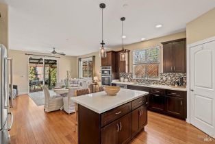 Single Family Residence, Anish way, Windsor, CA 95492 - 9