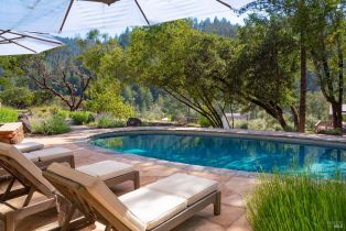 Single Family Residence,  Dry Creek road, Napa, CA 94558 - 35