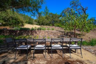 Single Family Residence,  Dry Creek road, Napa, CA 94558 - 46