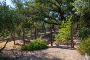 Single Family Residence,  Dry Creek road, Napa, CA 94558 - 48