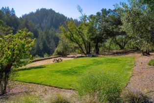 Single Family Residence,  Dry Creek road, Napa, CA 94558 - 50
