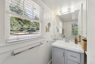 Single Family Residence,  Lake County highway, Calistoga, CA 94515 - 19