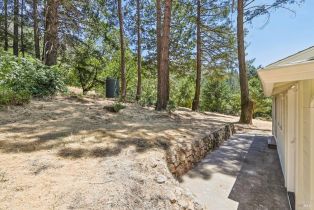 Single Family Residence,  Lake County highway, Calistoga, CA 94515 - 30