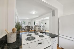 Single Family Residence,  Lake County highway, Calistoga, CA 94515 - 10