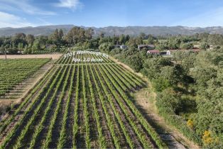 Land, 570 E Watmaugh Rd, Sonoma, CA  Sonoma, CA 95476