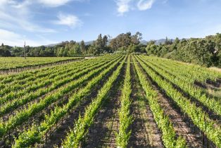 Agriculture,  Watmaugh road, Sonoma, CA 95476 - 6