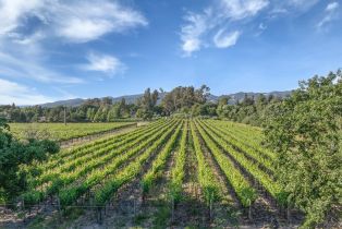 Agriculture,  Watmaugh road, Sonoma, CA 95476 - 7
