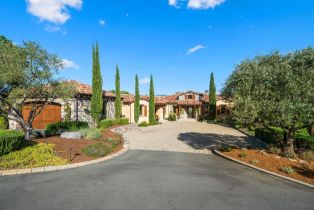 Single Family Residence,  Cottage Ridge road, Santa Rosa, CA 95403 - 88