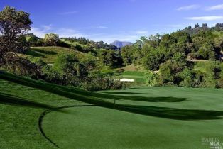 Single Family Residence,  Cottage Ridge road, Santa Rosa, CA 95403 - 93
