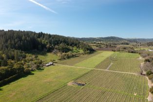 Single Family Residence,  Dry Creek road, Healdsburg, CA 95448 - 43
