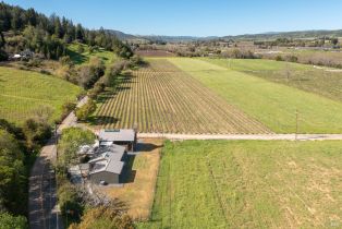 Single Family Residence,  Dry Creek road, Healdsburg, CA 95448 - 44