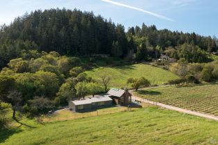 Single Family Residence,  Dry Creek road, Healdsburg, CA 95448 - 42