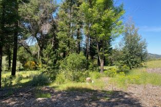 Residential Acreage,  Franz Valley School road, Calistoga, CA 94515 - 14