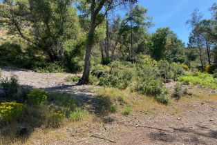 Residential Acreage,  Franz Valley School road, Calistoga, CA 94515 - 10