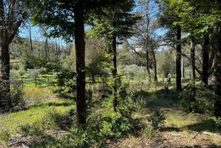 Residential Acreage,  Franz Valley School road, Calistoga, CA 94515 - 5