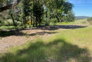 Residential Acreage,  Franz Valley School road, Calistoga, CA 94515 - 9