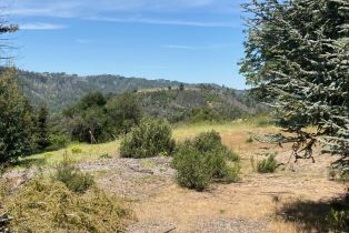 Residential Acreage,  Franz Valley School road, Calistoga, CA 94515 - 12