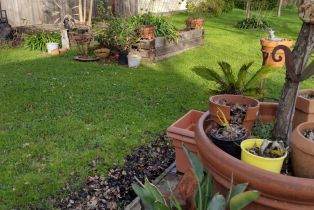 Single Family Residence,  Stony Point road, Santa Rosa, CA 95407 - 4