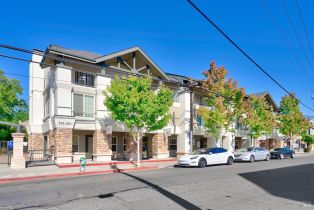 Single Family Residence,  1st street, Sonoma, CA 95476 - 46