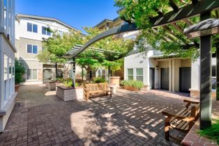 Single Family Residence,  1st street, Sonoma, CA 95476 - 42