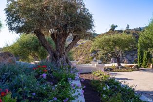 Single Family Residence,  Atlas Peak road, Napa, CA 94558 - 65