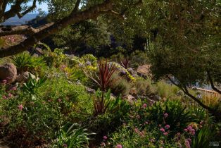 Single Family Residence,  Atlas Peak road, Napa, CA 94558 - 66