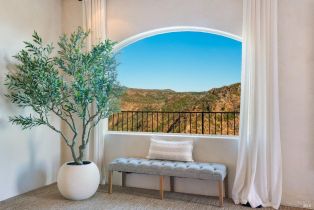 Single Family Residence,  Atlas Peak road, Napa, CA 94558 - 33