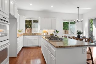 Single Family Residence,  Pine Hill court, Santa Rosa, CA 95409 - 16