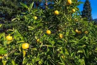 Single Family Residence,  Pine Hill court, Santa Rosa, CA 95409 - 40