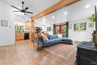 Single Family Residence,  Rio Nido road, Russian River, CA 95446 - 8