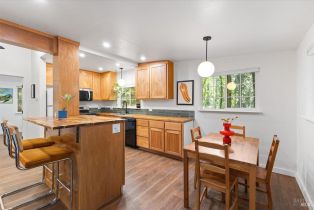 Single Family Residence,  Rio Nido road, Russian River, CA 95446 - 14
